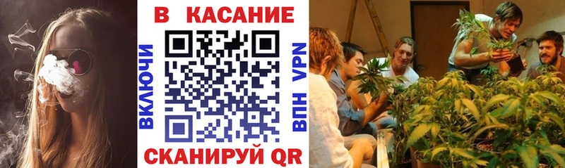 Купить наркоту Кемь Амфетамин  Марихуана  COCAIN  МЕФ  Гашиш 